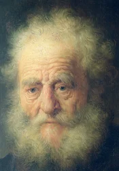 Büste eines alten Mannes mit einer Goldkette (Detail)